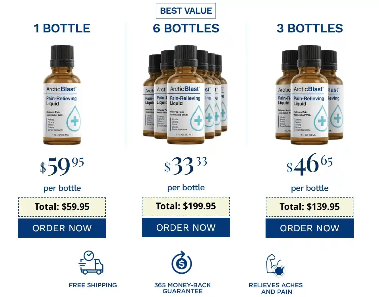 arctic blast price